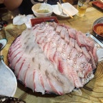 보물섬 - 역삼역 방어회 맛집 - 다이닝코드