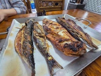 다이버구이 - 동해 생선구이, 생선 맛집 - 다이닝코드