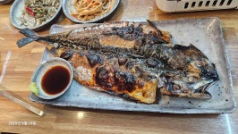 올레왕갈치 - 서귀포올레시장 갈치, 갈치조림 맛집 - 다이닝코드