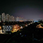 cafe N&D - 대전서구 카페, 빵 맛집 - 다이닝코드