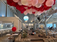 마고플레인 - 양산 베이커리, 카페 맛집 - 다이닝코드