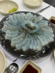 전라도회양념 - 노량진수산시장 횟집, 초장집 맛집 - 다이닝코드