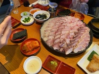 보물섬 - 신논현 방어회, 대방어 맛집 - 다이닝코드