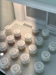 두딩 - 강릉 디저트, 푸딩 맛집 - 다이닝코드