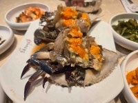 프로간장게장 신사본점 - 신사역 간장게장 맛집 - 다이닝코드