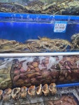 우정수산 - 노량진수산시장 대게, 킹크랩 맛집 - 다이닝코드