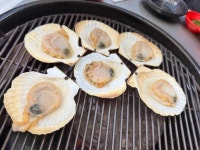 모녀가리비 - 속초 누룽지오징어순대, 조개구이 맛집 - 다이닝코드