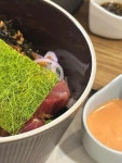 오포케 - 건대 포케, 연어 맛집 - 다이닝코드
