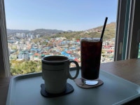 103LAB 카페 - 동해 카페, 고양이카페 맛집 - 다이닝코드