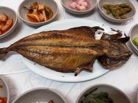 솔밭식당 - 안동 간고등어, 찜닭 맛집 - 다이닝코드