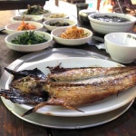 카페458 - 춘천 캠핑, 카페 맛집 | 다이닝코드, 빅데이터 맛집검색