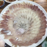 동해수산횟집 - 대구 횟집, 모듬회 맛집 | 다이닝코드, 빅데이터 맛집검색