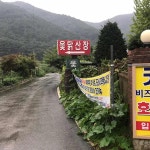 옻닭산장 - 담양 닭요리 맛집 | 다이닝코드, 빅데이터 맛집검색