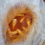 신전떡볶이 홍천점 - 홍천 떡볶이, 치즈떡볶이 맛집 - 다이닝코드