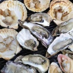 대포항 소연이네 조개구이 - AI 딩코의 맛집 공략