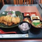 메차쿠차 전북대점 - 전북대 돈가스 맛집 | 다이닝코드, 빅데이터 맛집검색