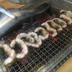 우이정 풍천장어 - 방학동 장어, 풍천장어 맛집 | 다이닝코드, 빅데이터 맛집검색