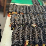 까치김밥 - 진주 김밥, 마약김밥 맛집 | 다이닝코드, 빅데이터 맛집검색