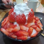 설빙 - 동백 빙수, 인절미빙수 맛집 | 다이닝코드, 빅데이터 맛집검색