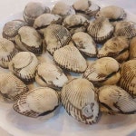 대구 혁신도시 맛집 반야월 벌교꼬막 - AI 딩코의 맛집 공략