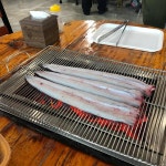 명진풍천장어 - 고창 장어, 풍천장어 맛집 - 다이닝코드