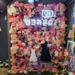 탭그라운드 - 대전은행동 카페, 솜사탕 맛집 - 다이닝코드