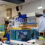 노량진 테마별 맛집 추천 - 다이닝코드, 빅데이터 맛집검색