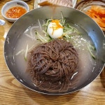 고양시 동치미막국수 맛집 Top3 - 다이닝코드