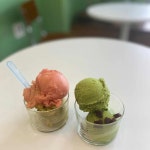 담금젤라또 - 포항이동 젤라또, 소르베 맛집 - 다이닝코드