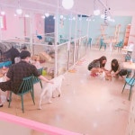 미어캣족장 - 건대 카페, 굴비 맛집 | 다이닝코드, 빅데이터 맛집검색