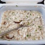 본죽&비빔밥cafe 외대점 - 외대 죽집, 비빔밥 맛집 - 다이닝코드