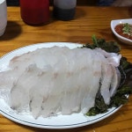 오징어나라: 오래된 횟집의 맛 - AI 딩코의 맛집 공략