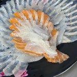 바다회포차 - 주문진 횟집, 포차 맛집 - 다이닝코드