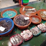 동영호 - 대명항 젓갈전문 맛집 - 다이닝코드