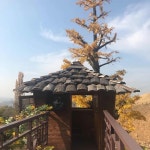 경남 창녕군 창녕읍 음식 랭킹 - 다이닝코드, 빅데이터 맛집검색