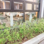 인천광역시 서구 승학로287번길 맛집 Top4 - 다이닝코드