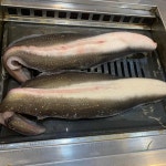 맛나수산 - 광주동구 장어, 장어탕 맛집 | 다이닝코드, 빅데이터 맛집검색