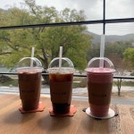587카페 - 영월 카페, 수박식빵 맛집 | 다이닝코드, 빅데이터 맛집검색