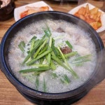 천년초손칼국수 - 구의역 칼국수, 바지락칼국수 맛집 | 다이닝코드, 빅데이터 맛집검색