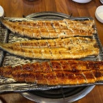 고향풍천장어, 강동구의 맛있는 장어 맛집 - AI 딩코의 맛집 공략