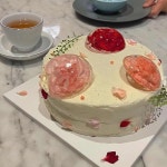 아네모네시 케이크 - 연남동 수제케익, 케익 맛집 | 다이닝코드, 빅데이터 맛집검색