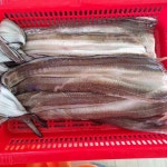 경남 창원시 마산합포구 진전면 시락리 테마별 맛집 추천 - 다이닝코드, 빅데이터 맛집검색