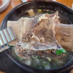 경남고성공룡세계엑스포 음식 랭킹 - 다이닝코드, 빅데이터 맛집검색