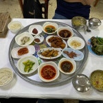 남창기사식당 - 해남 백반, 기사식당 맛집 - 다이닝코드