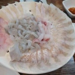 창원회센타 - 창원 횟집, 모듬회 맛집 - 다이닝코드