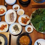 강촌쌈밥, 건강한 쌈의 향연 - AI 딩코의 맛집 공략