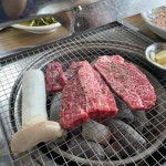 경남고성 소고기국밥 맛집 Top13 - 다이닝코드