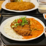 홍익돈까스 대구수변공원점 - 대구 돈까스, 왕돈까스 맛집 | 다이닝코드, 빅데이터 맛집검색