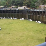 강원도 원주시 지정면 지정로 912 주소 검색 결과 1곳 - 다이닝코드