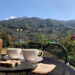 카페 꽃피는산골 - 하동 카페, 녹차라떼 맛집 - 다이닝코드